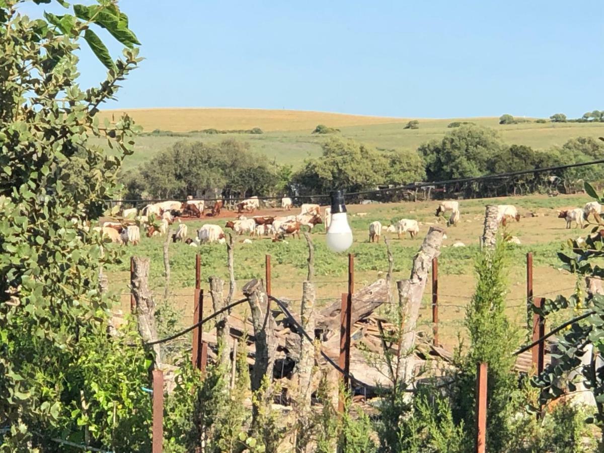 Alojamiento Rural El Soldao Medina-Sidonia Εξωτερικό φωτογραφία